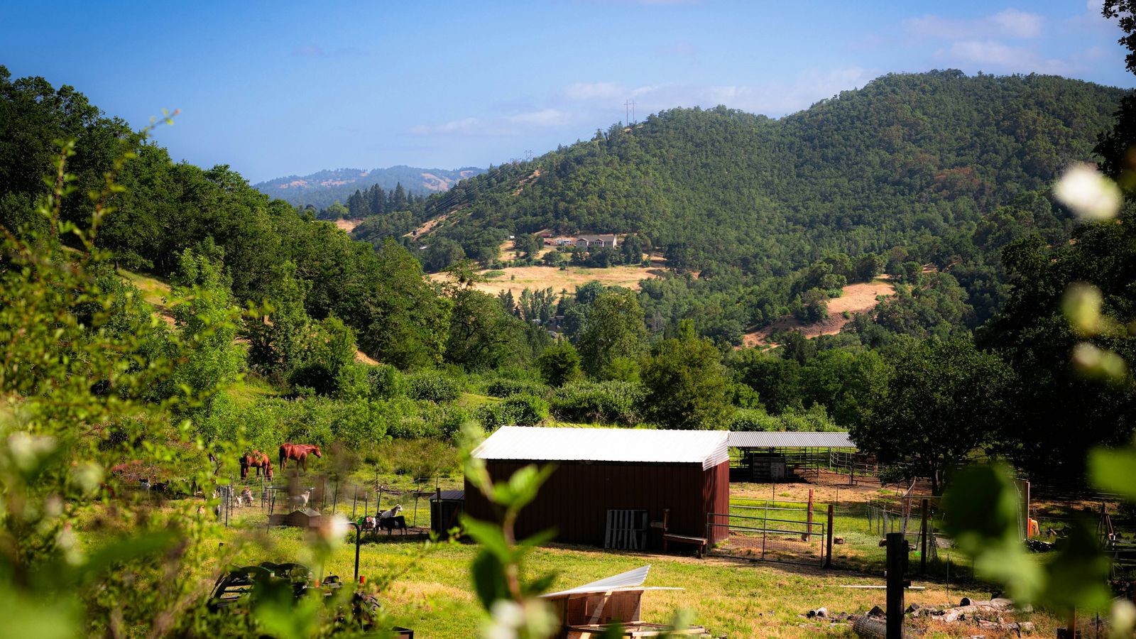 Small farm with a white-roofed barn and pasture below forested green hills under a blue sky